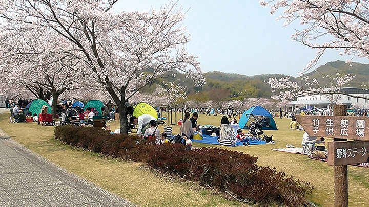 21年春 桜がきれいで遊べるスポット紹介 東広島デジタル 観光ガイド 東広島の魅力を余すことなくお伝えする観光情報サイト